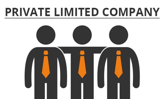 private limited company