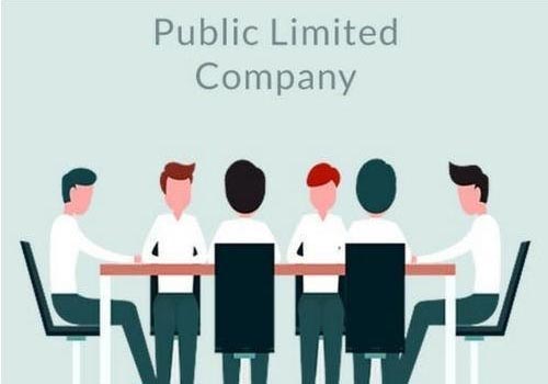 public limited company research paper